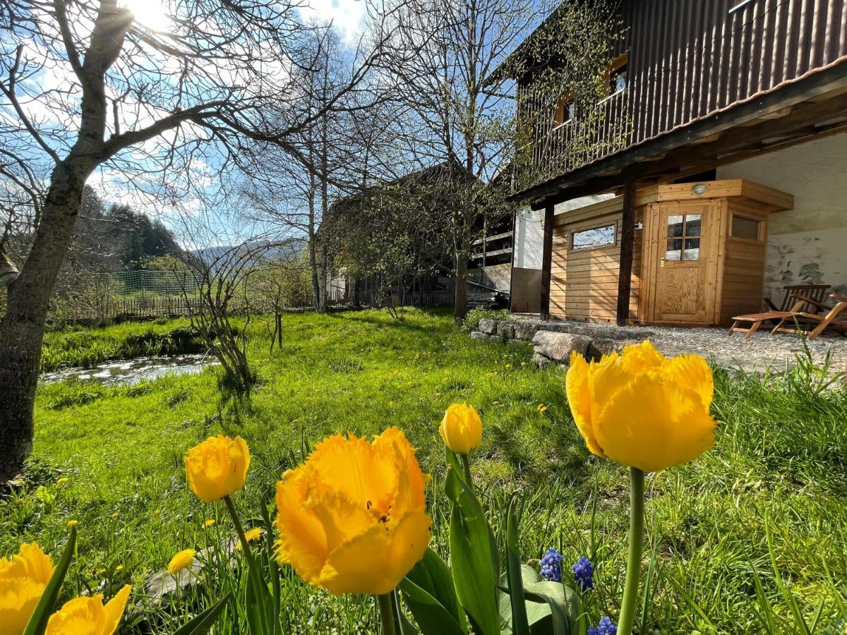 Miramont Horse Trekking Hostel Saicourt Екстериор снимка