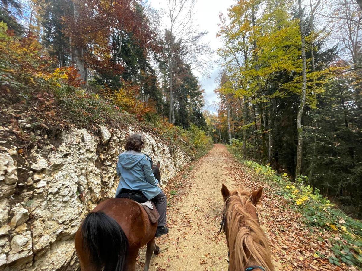 Miramont Horse Trekking Hostel Saicourt Екстериор снимка